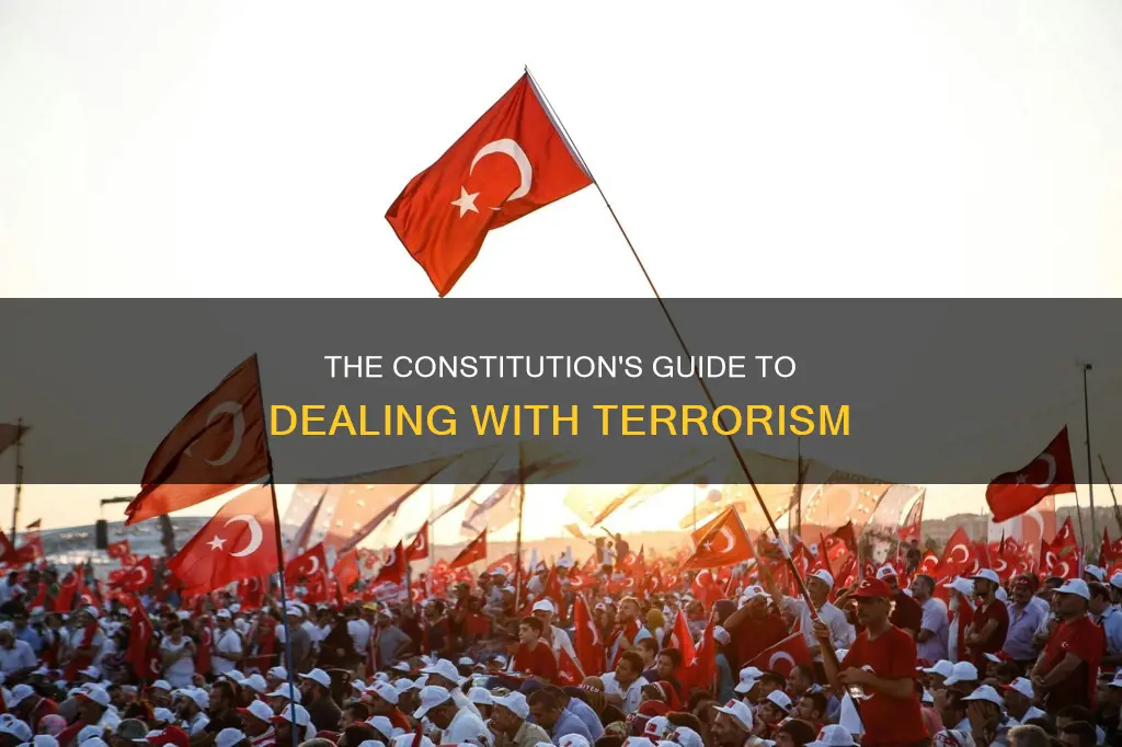 what part of the constitution deals with terrorits