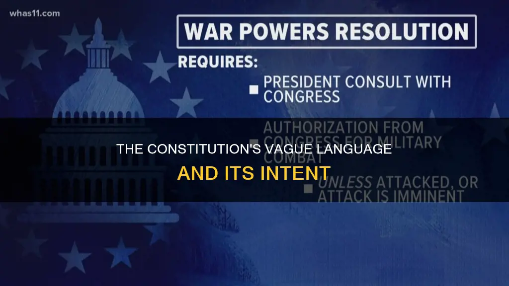 what part of the constitution deals with vagueness