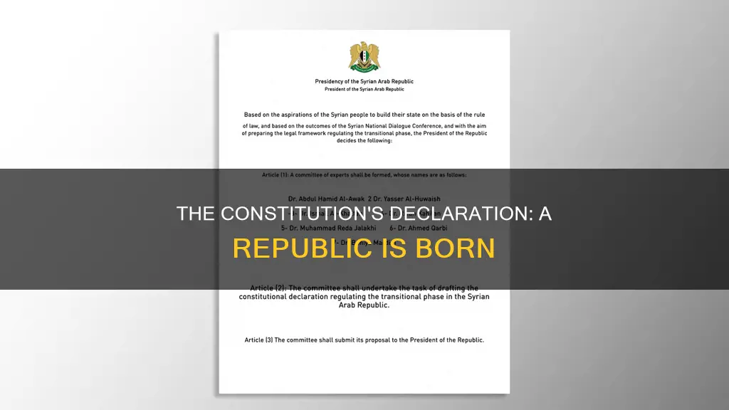 what part of the constitution declares us a republic