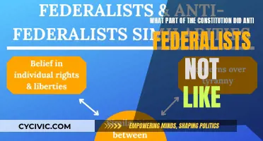 Anti-Federalists' Concern: The Constitution's Centralized Power