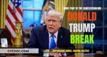 Trump's Constitutional Violations: What Part Did He Break?