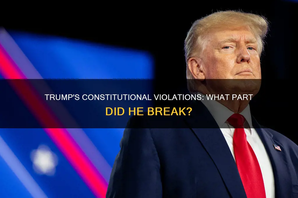 what part of the constitution did donald trump break