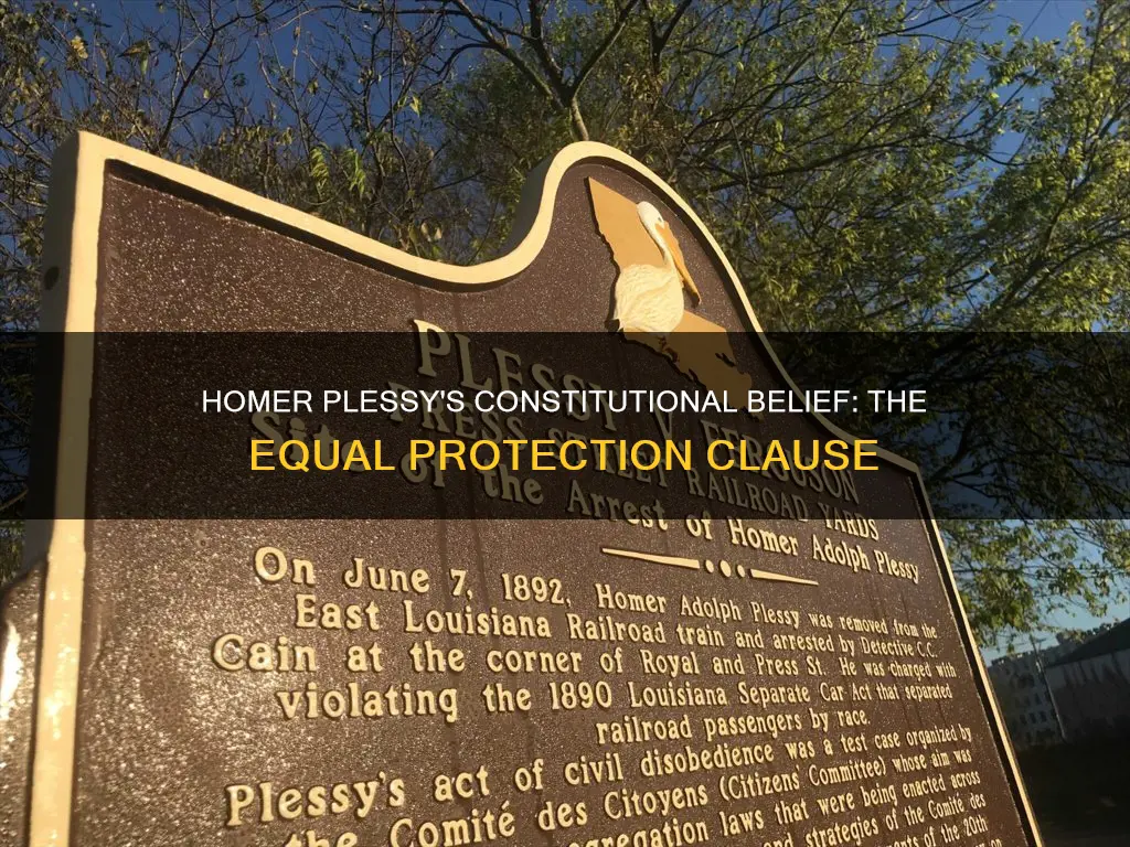 what part of the constitution did homer plessy believe