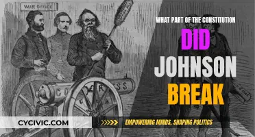 Johnson's Constitutional Violation: What Part Did He Break?