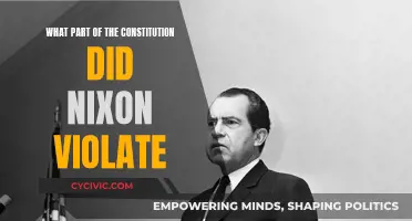 Nixon's Violation of Constitutional Rights and Freedoms