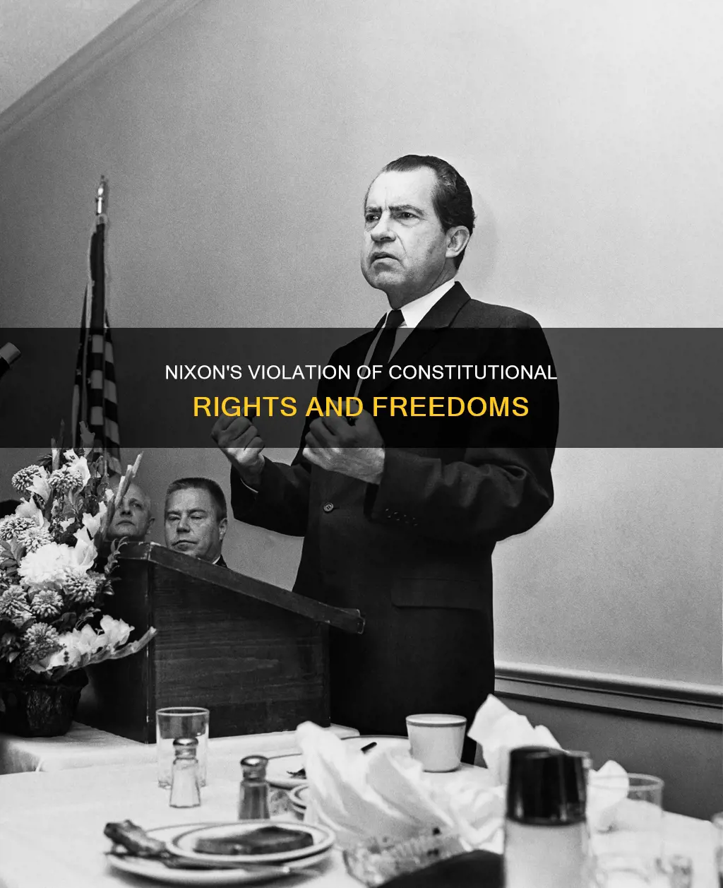what part of the constitution did nixon violate