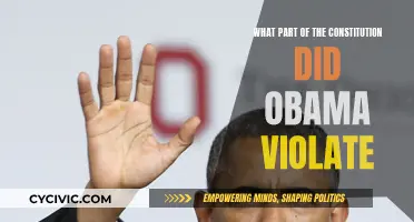 Obama's Constitutional Violation: An In-Depth Analysis
