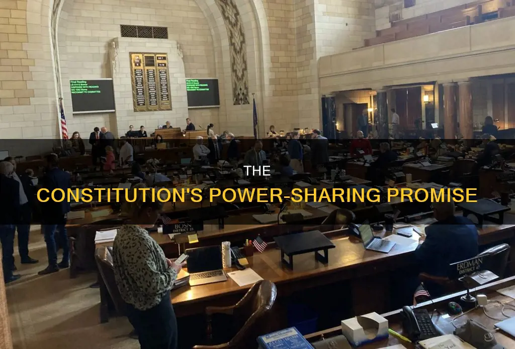what part of the constitution divide power branches