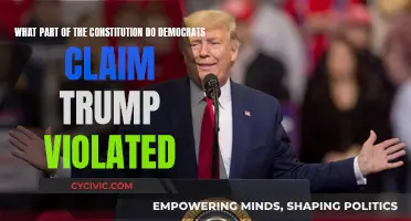 Trump's Violation: Democrats' Claim on Constitution