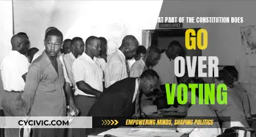 The Constitution and Voting Rights: Understanding the Connection