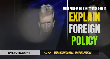 Foreign Policy: Constitutional Roots Explored