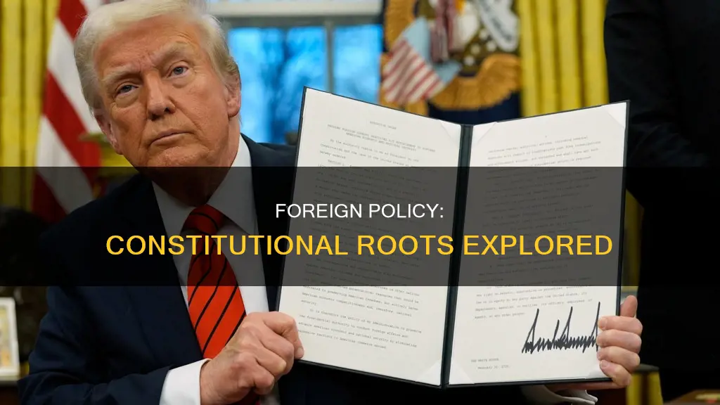 what part of the constitution does it explain foreign policy