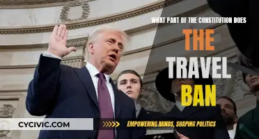 Travel Ban: Constitutional Clause or Government Overreach?
