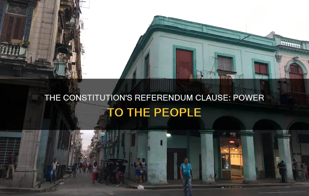 what part of the constitution estabalished the referendum