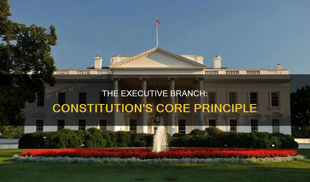 what part of the constitution establishes the executive branch