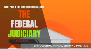 The Judiciary's Constitutional Roots Explored