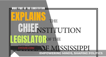 The Chief Legislator: Understanding the Constitution's Power Dynamic