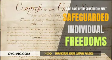 The Constitution's Safeguarding of Individual Freedoms