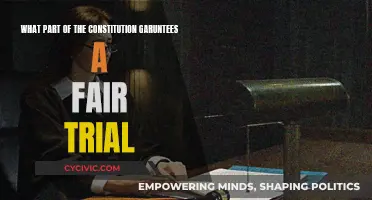 The Constitution's Promise: Fair Trial Rights