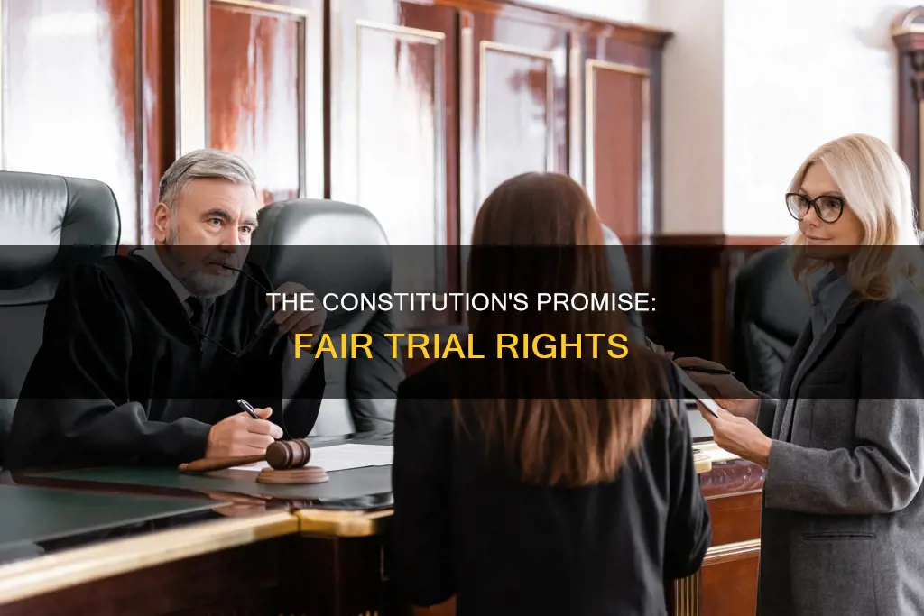 what part of the constitution garuntees a fair trial
