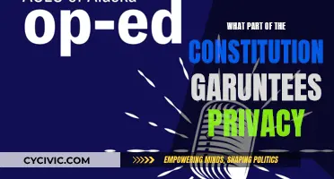 The Constitution's Privacy Promise: What's Really Guaranteed?