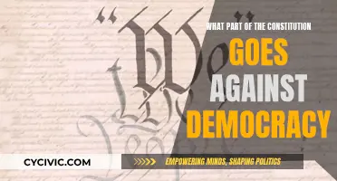 The Constitution's Anti-Democratic Tendencies