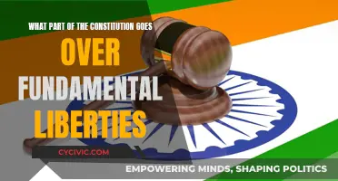 Fundamental Freedoms: Exploring the Constitution's Core Liberties