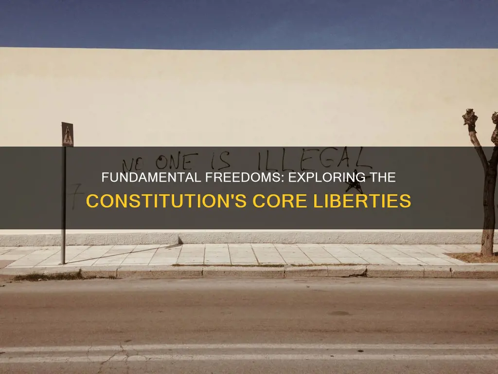 what part of the constitution goes over fundamental liberties