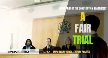 The Constitution's Promise: Fair Trial Rights and You