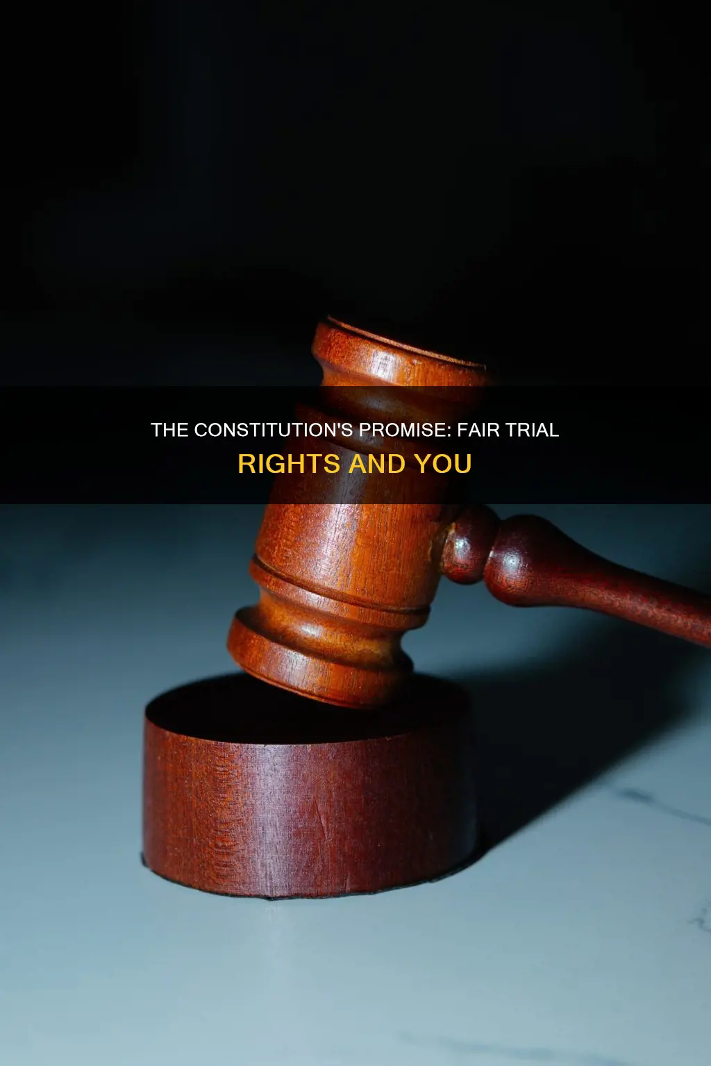 what part of the constitution guarantees a fair trial