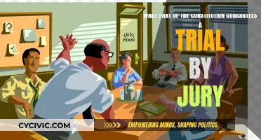 The Constitution's Jury Trial Guarantee: What's the Story?