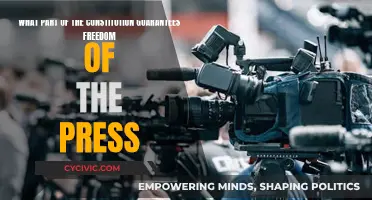 The Press and the Constitution: Freedom Guaranteed