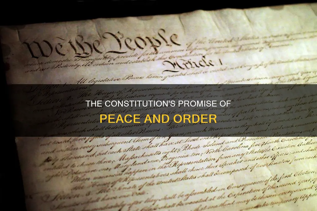 what part of the constitution insure domestic tranquility