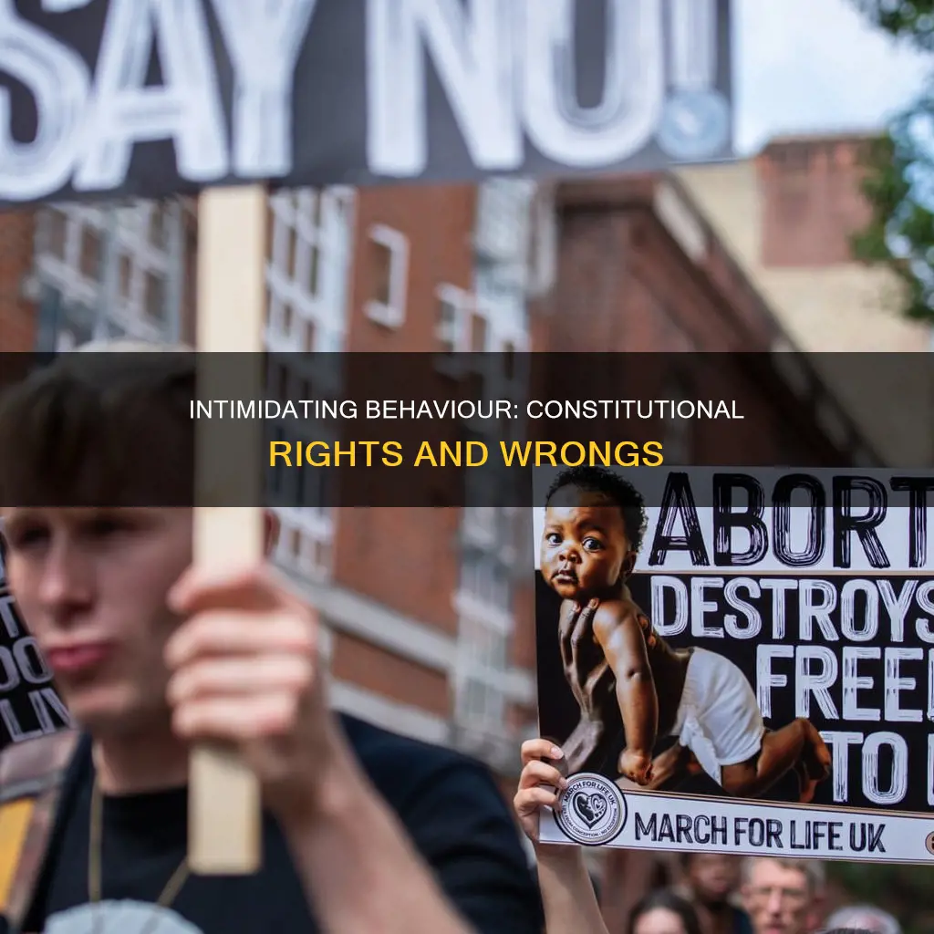 what part of the constitution intimidating behaviour