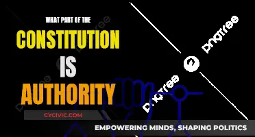 The Constitution's Authority: Understanding the Document's Power