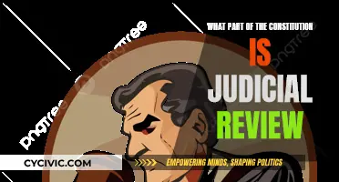 The Constitution's Pillar: Judicial Review Explained