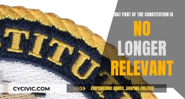 The Constitution: What's No Longer Relevant in the Modern Era?