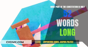 The Amendment Clause: A 52-Word Limit