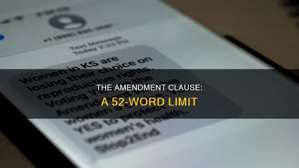 what part of the constitution is only 52 words long