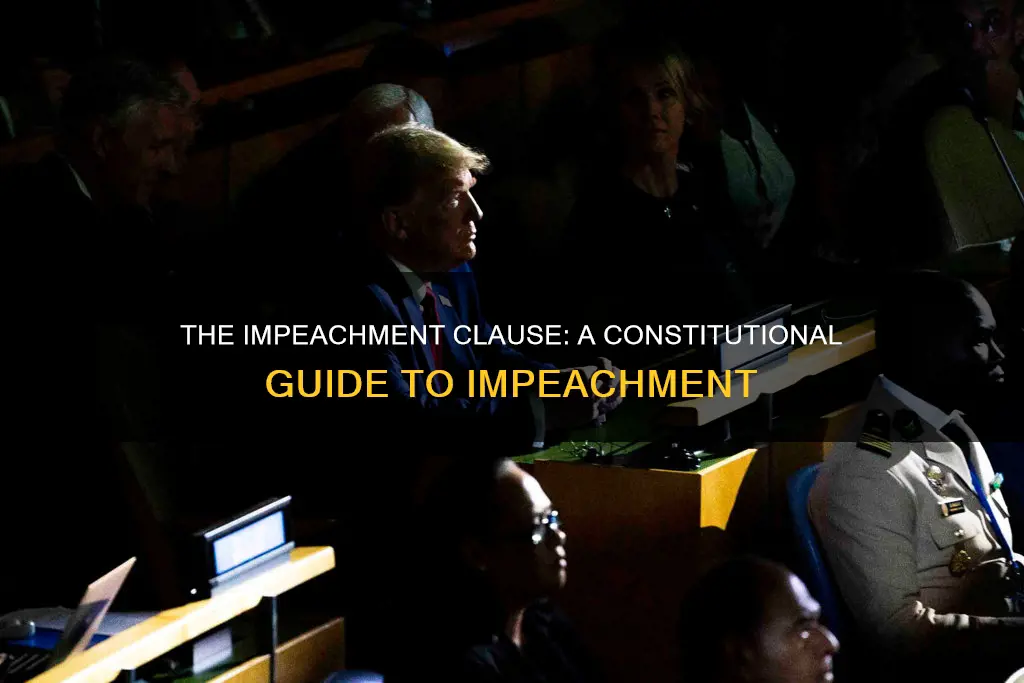 what part of the constitution is the impeachment process included