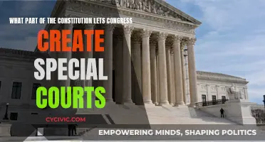 The Constitution's Congressional Power to Create Special Courts