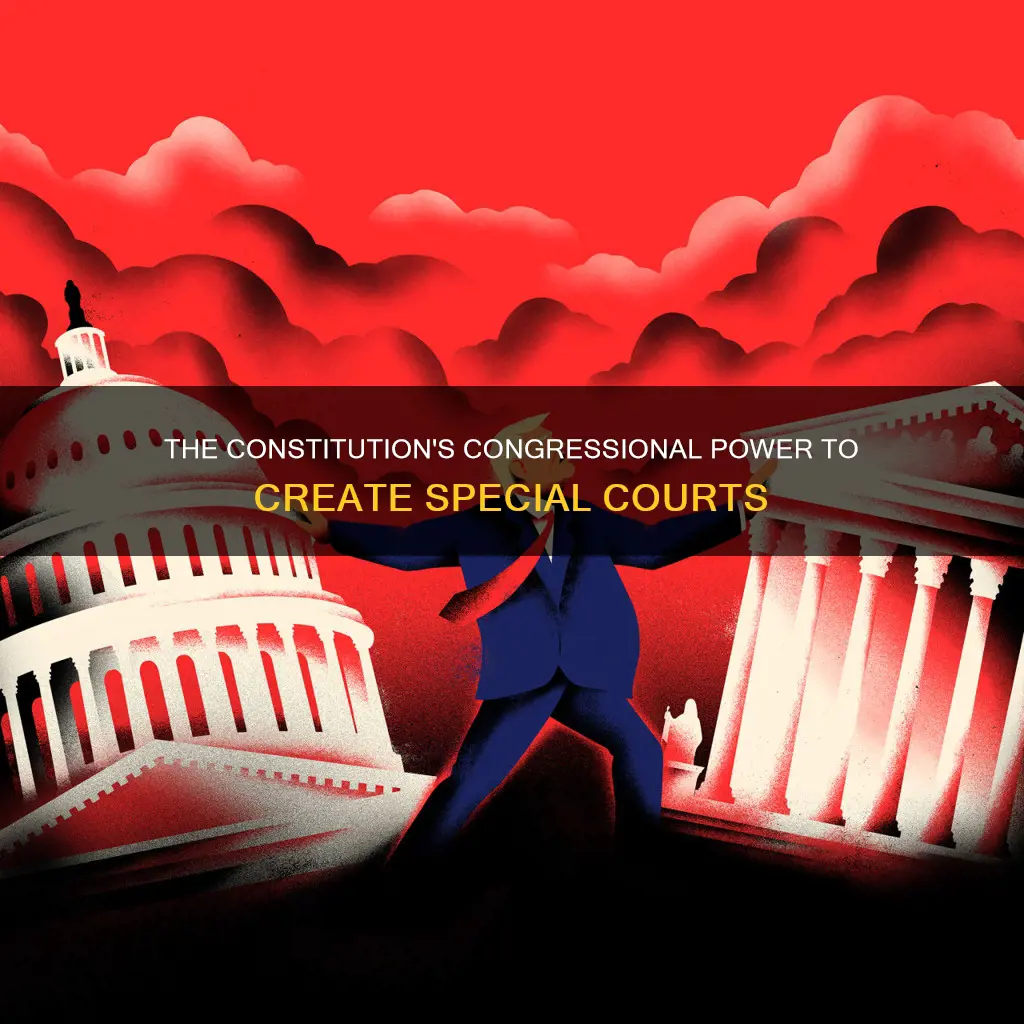what part of the constitution lets congress create special courts