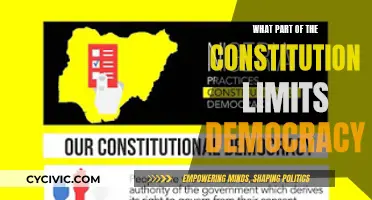 The Constitution's Guarded Democracy