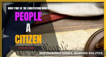 Understanding Citizenship Rights in the Constitution