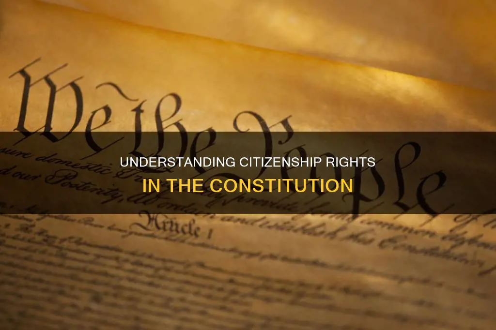 what part of the constitution makes people a citizen
