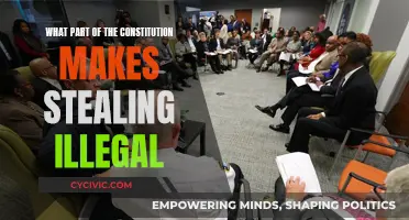 Theft and the Constitution: What's the Connection?