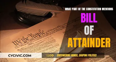 Bill of Attainder: Understanding the US Constitution's Mention
