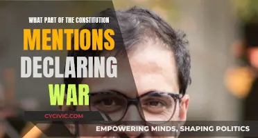 War Declaration: The Constitution's Mention
