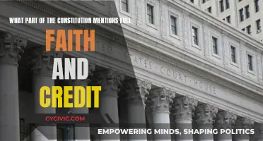 Full Faith and Credit: Exploring Constitutional Mentions