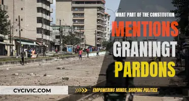 The Pardoning Power: Exploring the Constitution's Clause